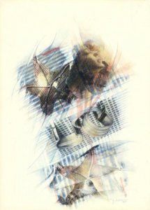 STELLE MARINE, 1998 - rip. fotografici e matite colorate su carta cm.50X70